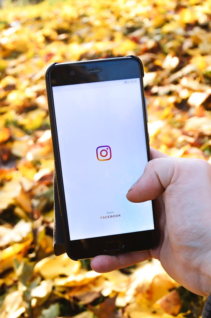 Close-up of a hand holding a smartphone displaying the Instagram logo over fallen leaves.